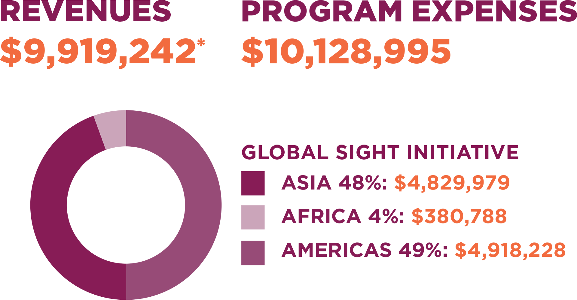 Revenues: $9,919,242*. Program Expenses: $10,128,995. Asia 48%: $4,829,979. Africa 4%: $380,788. Americas 49%: $4,918,228.